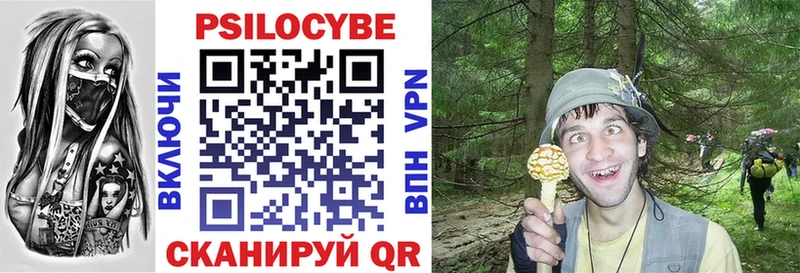 Купить  Среднеуральск  Галлюциногенные грибы Cubensis 